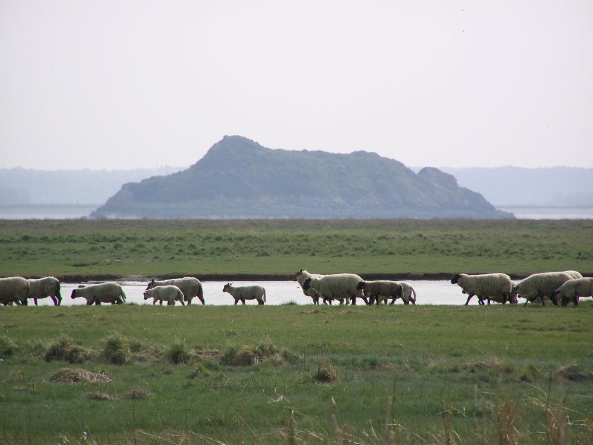 Charmante Maison De Pecheur En Baie Du Mont Saint Michel Genêts Eksteriør bilde